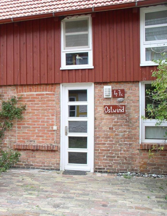 Dhh-Ostwind Villa Prerow Exteriör bild